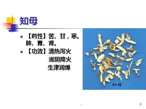 第八章中药PPT课件