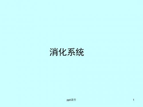 组织胚胎学--消化系统  ppt课件