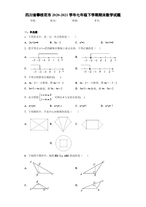 四川省攀枝花市2020-2021学年七年级下学期期末数学试题