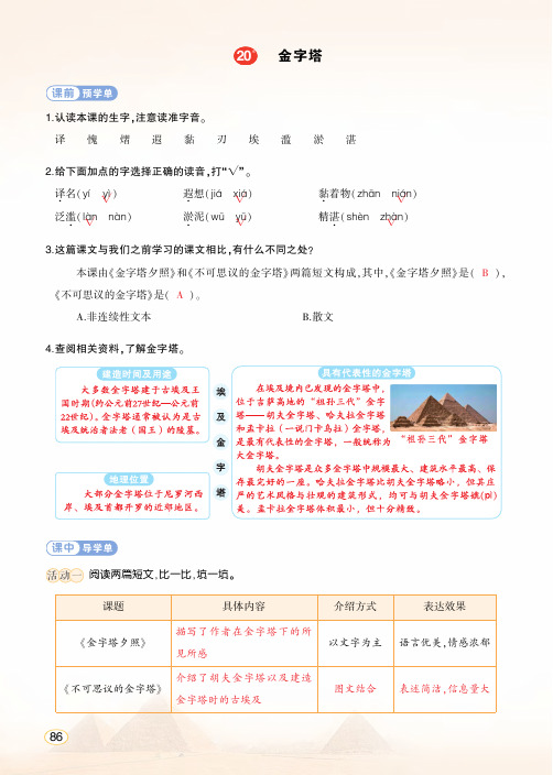 部编版语文五年级下册《金字塔》学习单(教用)