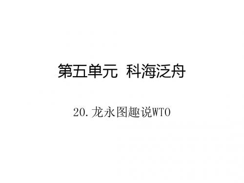 九年级语文(语文版)下册课件:20.龙永图趣说WTO