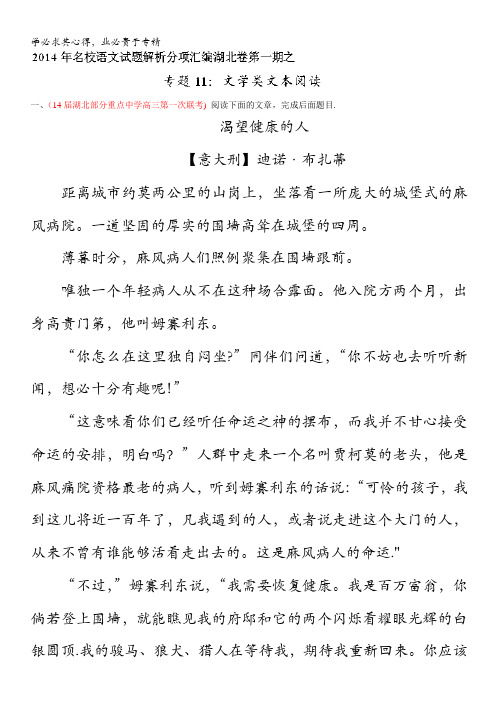 文学类文本阅读高三名校语文试题精选精析分省汇编系列(湖北版)(第期)(解析版)