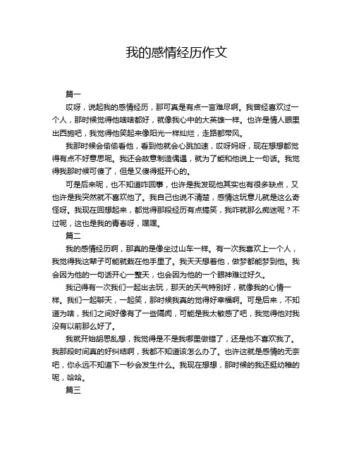 我的感情经历作文