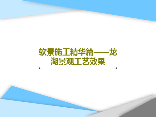 软景施工精华篇——龙湖景观工艺效果共43页