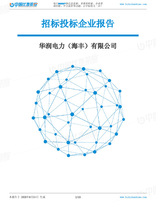 华润电力(海丰)有限公司-招投标数据分析报告