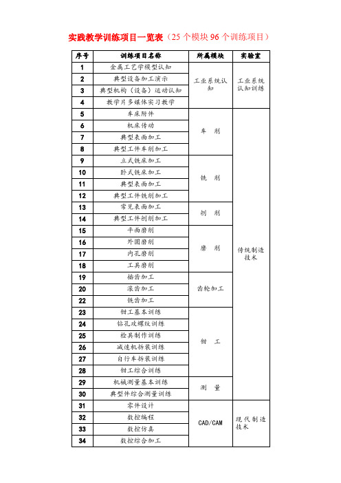 实践教学训练项目一览表个模块个训练项目