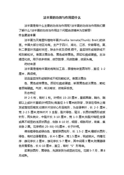 法半夏的功效与作用是什么