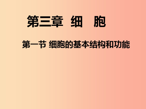 七年级生物上册2.3.1细胞的基本结构和功能课件1新版北师大版PPT