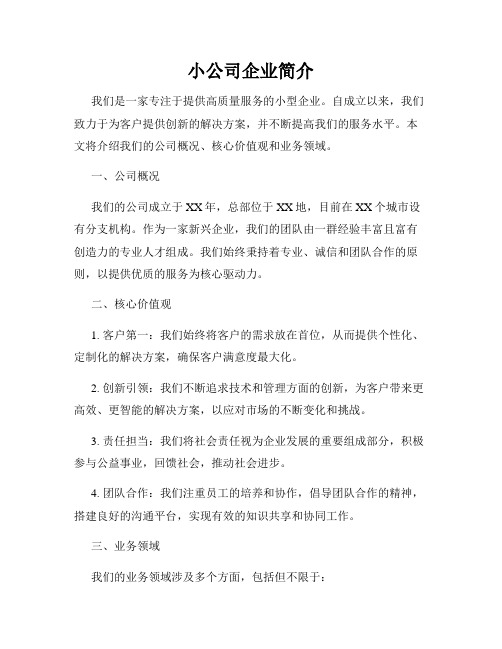 小公司企业简介