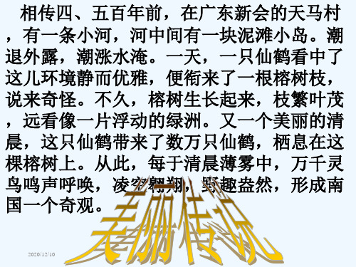 鸟的天堂ppt课件