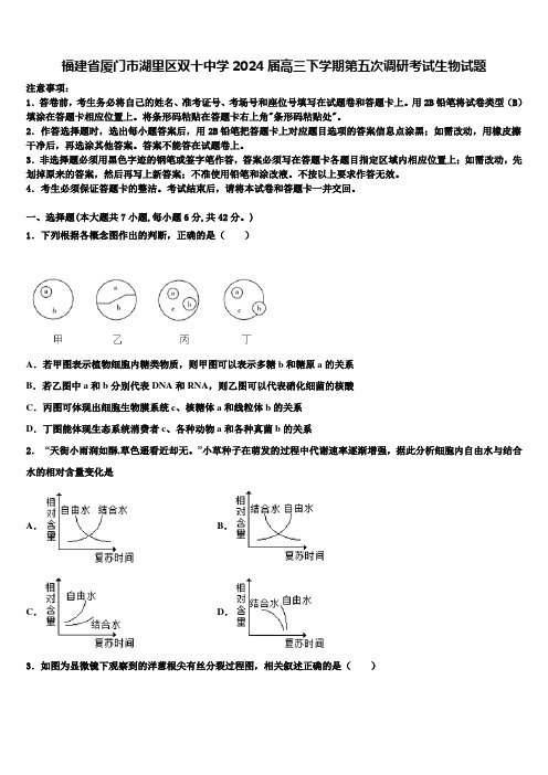 福建省厦门市湖里区双十中学2024届高三下学期第五次调研考试生物试题含解析