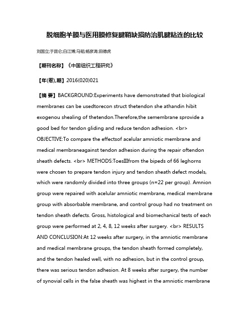 脱细胞羊膜与医用膜修复腱鞘缺损防治肌腱粘连的比较