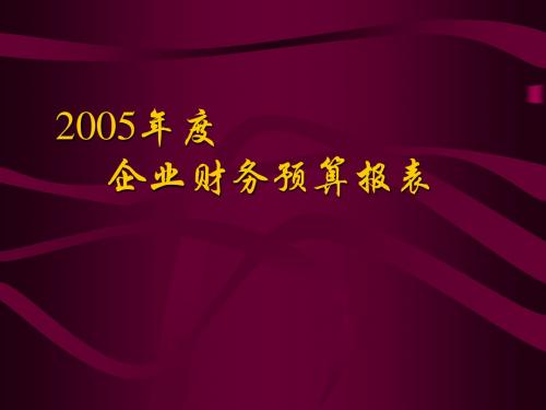 2005年度企业财务预算报表报表