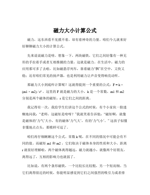 磁力大小计算公式