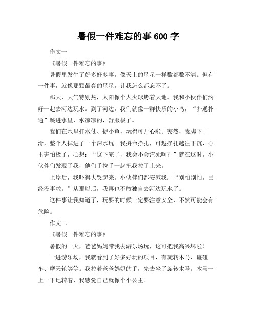 暑假一件难忘的事600字