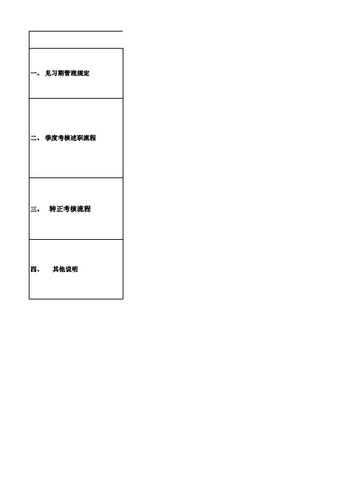 见习期管理及考核流程