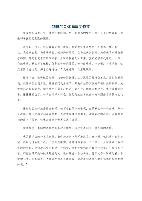 别样的关怀800字作文