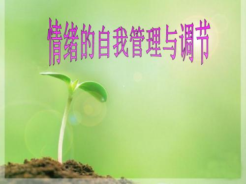情绪的自我管理与调节培训教材(PPT 34页)
