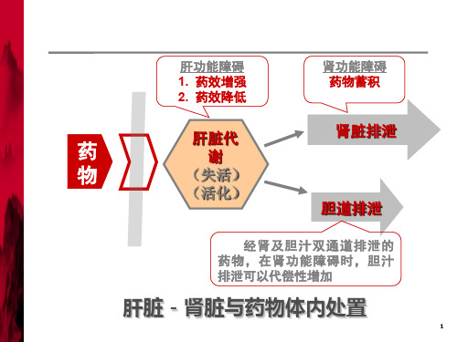 肝功能障碍患者合理用药