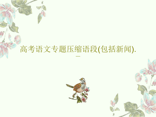 高考语文专题压缩语段(包括新闻).50页PPT