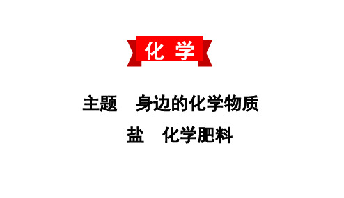 初中化学中考复习 2020中考备考化学考点讲练课件(共44张PPT)