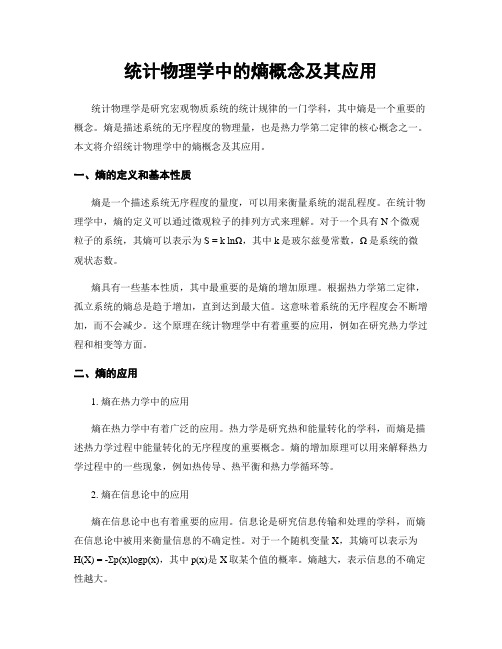 统计物理学中的熵概念及其应用