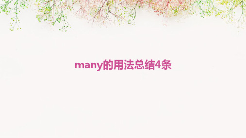 many的用法总结4条PPT