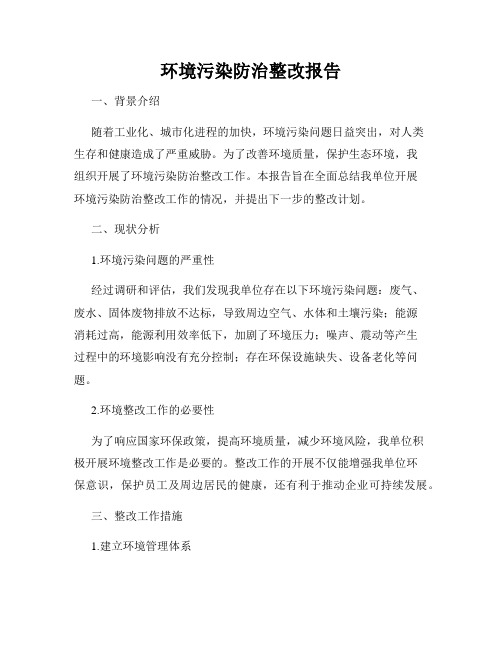 环境污染防治整改报告