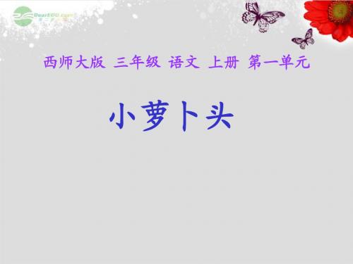 (西师大版)三年级语文上册课件_小萝卜头_2