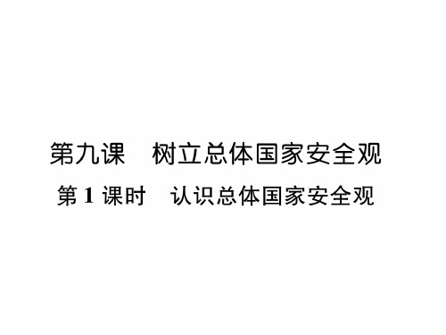 秋人教版道德与法治八年级上册习题课件:第9课第1框 认识总体国家安全观 (共19张PPT)