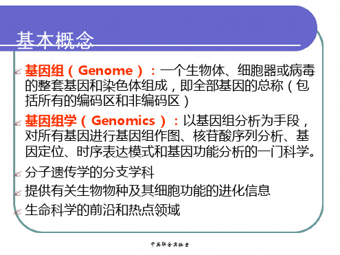 基因组学遗传作图物理图