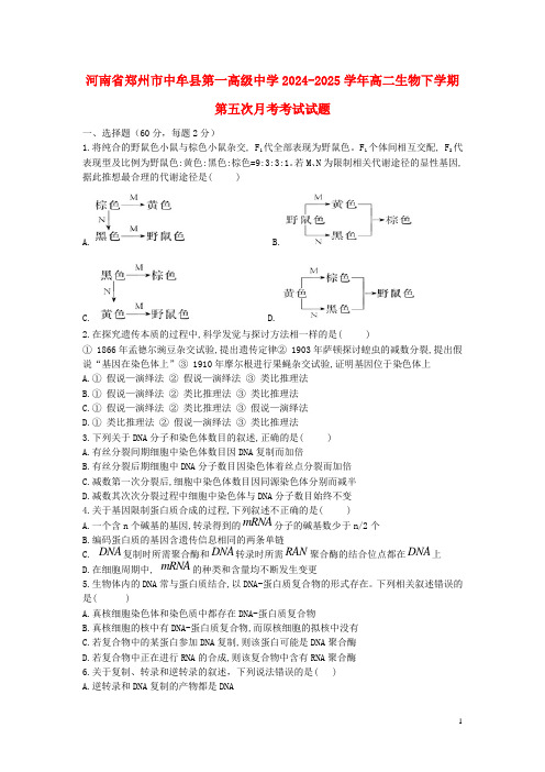 河南省郑州市中牟县第一高级中学2024_2025学年高二生物下学期第五次月考考试试题