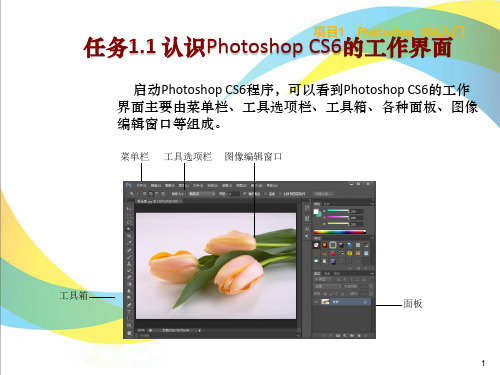 认识PhotoshopCS6详解