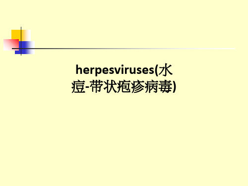 herpesviruses(水痘-带状疱疹病毒)PPT课件