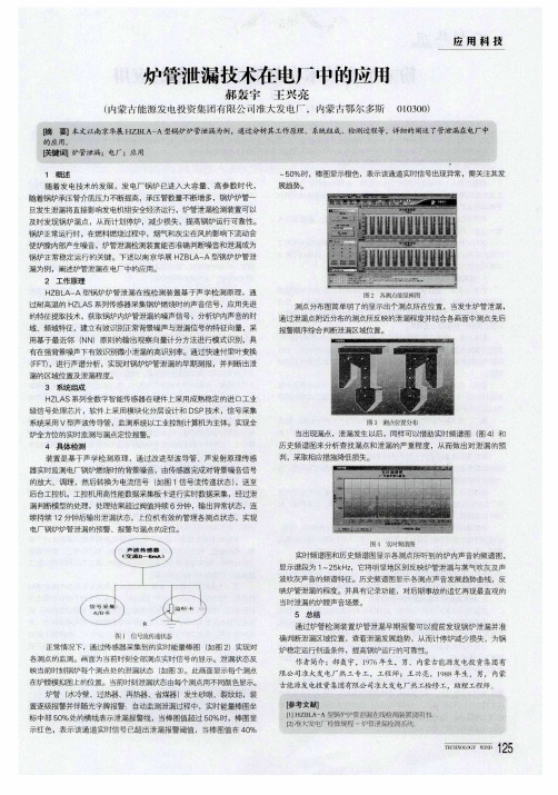 炉管泄漏技术在电厂中的应用