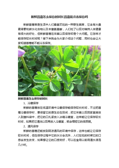 新鲜苜蓿怎么保存时间长苜蓿能冷冻保存吗