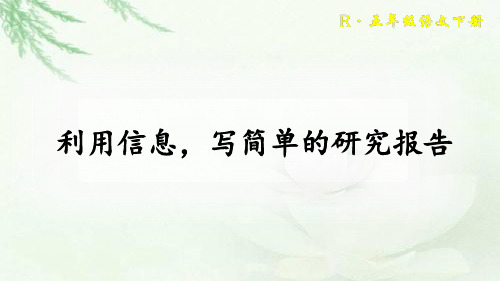 五年级下册语文利用信息,写简单的研究报告