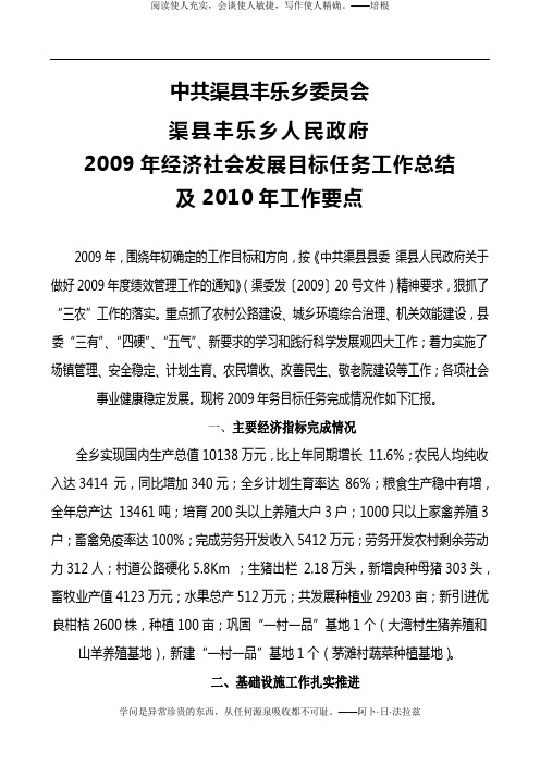 2010年工作总结及2011年要点