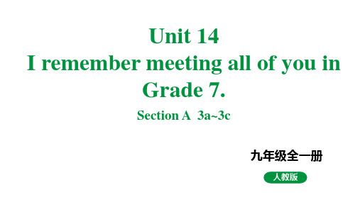 人教新目标版九全英语 Unit14 SectionA 3a~3c 教学课件