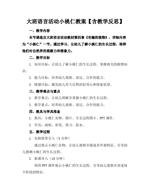 大班语言活动小桃仁教案【含教学反思】