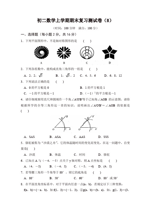 人教版初二数学上学期期末复习测试卷(8)含答案