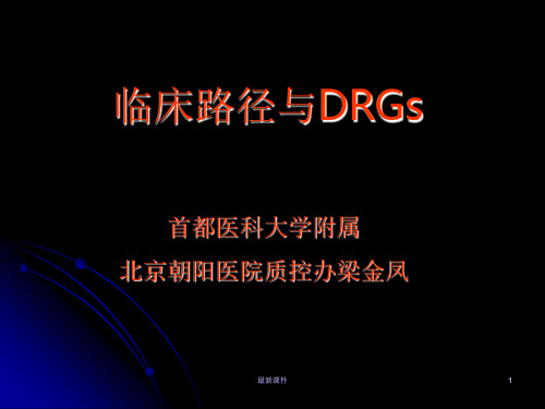 2临床路径与DRGsppt课件