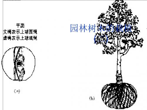 园林树木的栽植二共134页