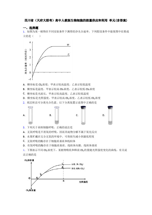 四川省(天府大联考)高中人教版生物细胞的能量供应和利用 单元(含答案)