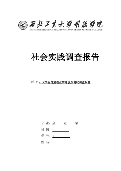 大学生自主创业的环境及现状调查报告模板