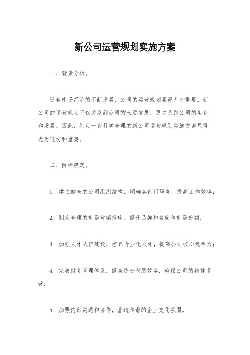 新公司运营规划实施方案