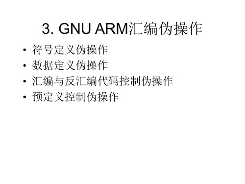 GNU环境下的伪指令