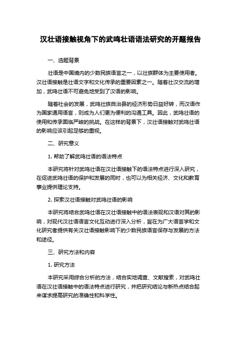 汉壮语接触视角下的武鸣壮语语法研究的开题报告