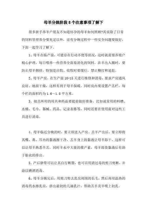 母羊分娩阶段8个注意事项了解下