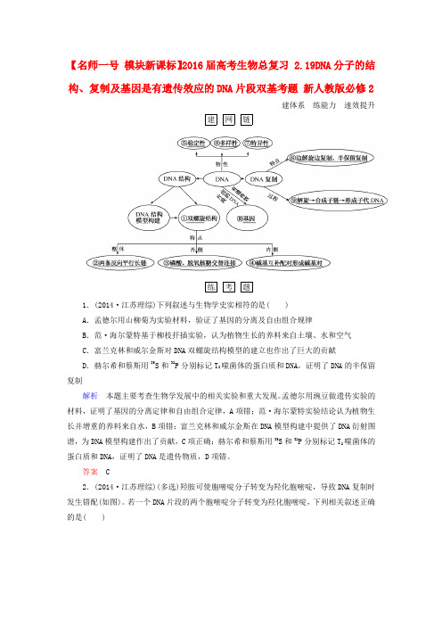 【名师一号 模块新课标】高考生物总复习 2.19DNA分子的结构、复制及基因是有遗传效应的DNA